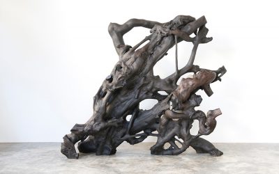 05 MAHOGANY ROOT SCULPTURE