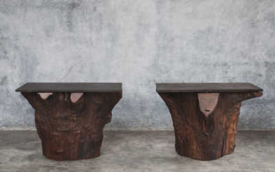 Pair of iron wood console