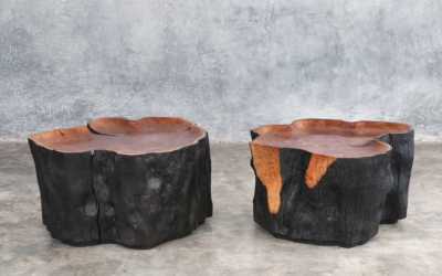 pair of litchie trunk coffee table