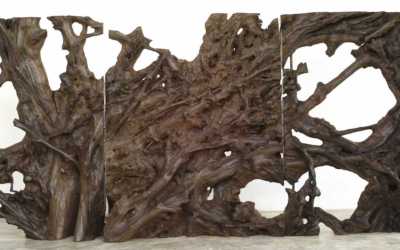 07 LARGE MAHOGANY ROOTS TRIPTYCH